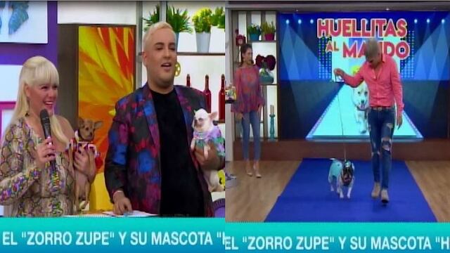 Perrito del 'Zorro' Zupe tuvo incidente en el set de 'Mujeres al Mando' (VIDEO)