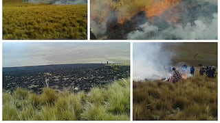 Incendio forestal consume cerca de 700 hectáreas de terreno