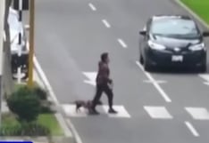 Mujer fue atropellada en Miraflores y su perrita se perdió tras el impacto