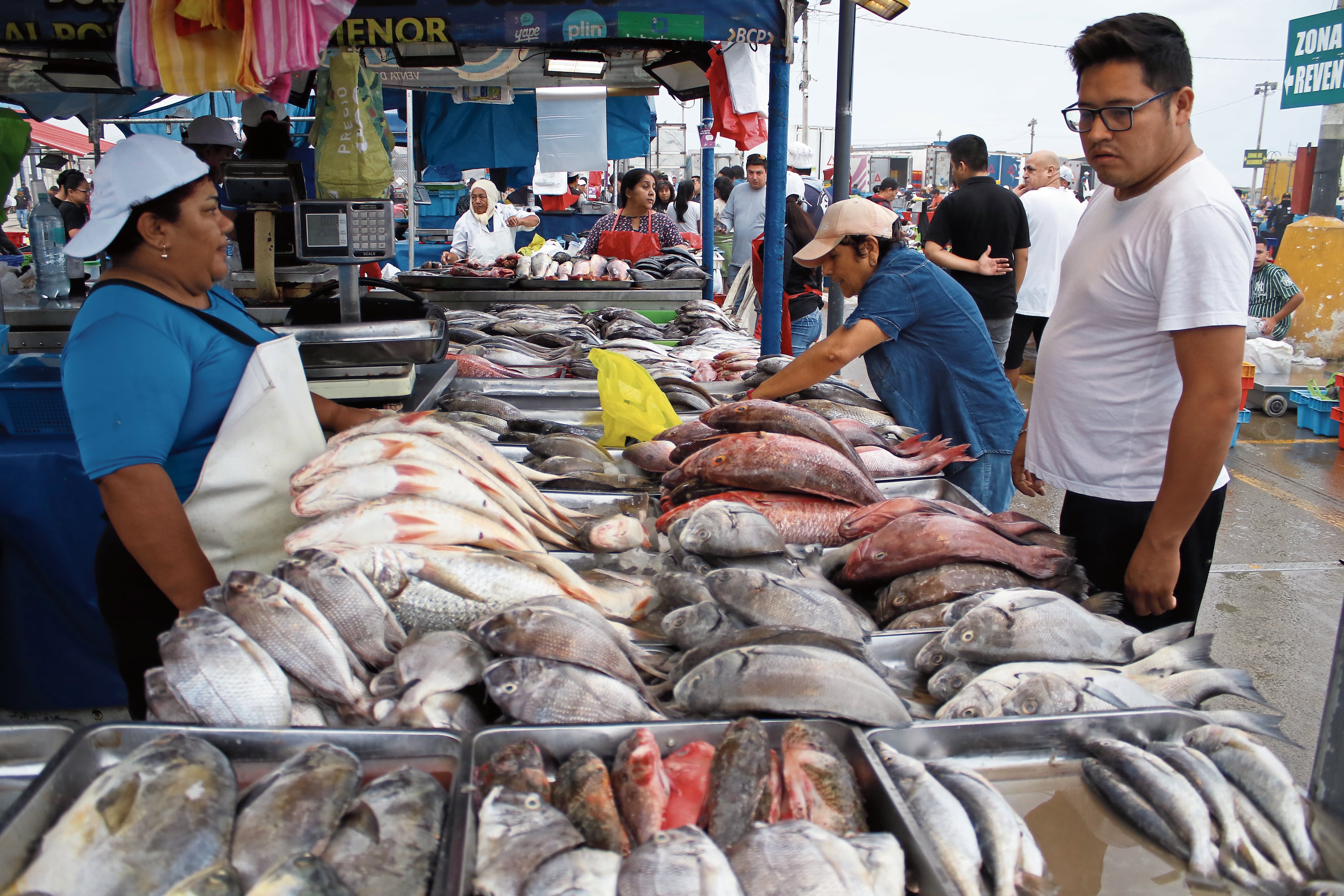 En el terminal pesquero de Víctor Larco especies como el perico o el ojo de uva llegan a costar S/ 50 el kilo, mientras que el jurel no pasa de los S/ 10. El precio de los mariscos también se ha incrementado. (Foto: Johnny Aurazo)