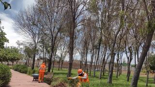 Inician mejoramiento del parque El Bosque en el distrito de Socabaya