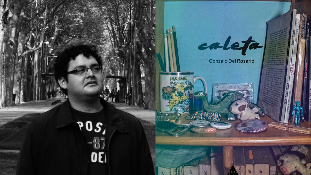 Lo grotesco y la idea de un futuro apocalíptico y enfermo que Gonzalo Del Rosario presenta en su narrativa, lejos de ser cuestionados, forman parte de su imaginario estético, son algo así como parte de su espectáculo literario.