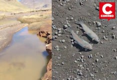 Yauli: Denuncian contaminación en afluente del Mantaro por descargas mineras