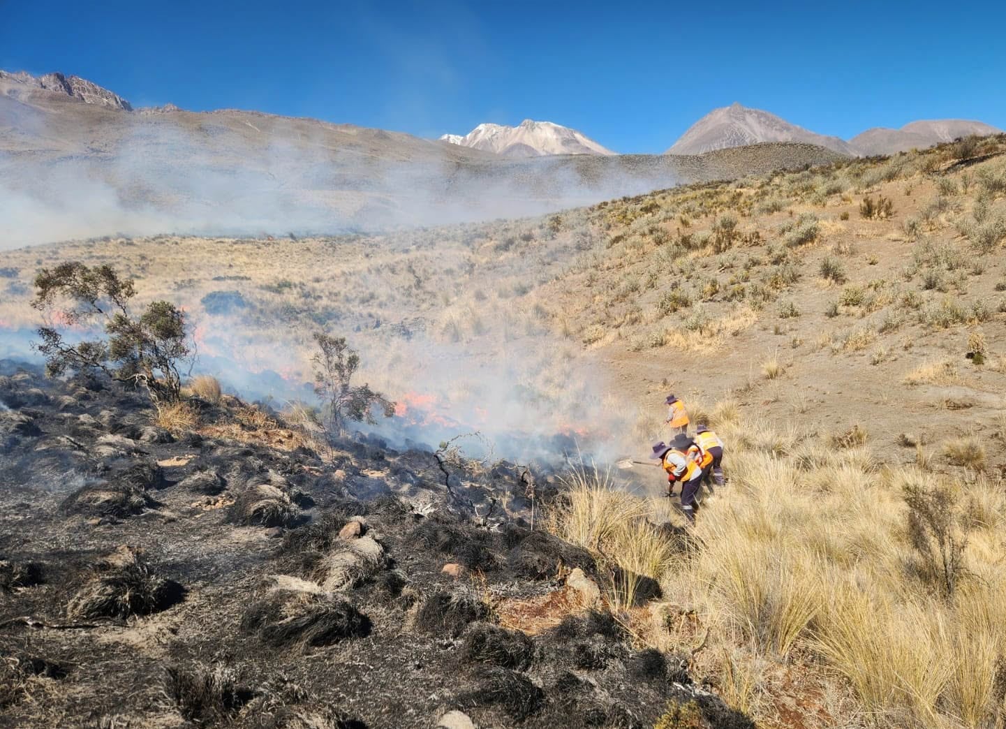 El fuego se propagó rápidamente hasta alcanzar a la Reserva Nacional de Salinas y Aguada Blanca (Foto: Municipalidad de Yura)