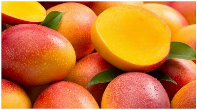 ​A comer mango: Su consumo puede evitar la obesidad y diabetes