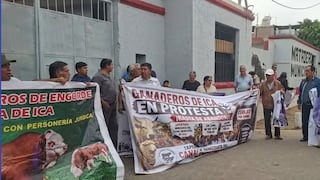 Ganaderos de Ica protestan y exigen reapertura del camal municipal que lleva cerrado tres meses
