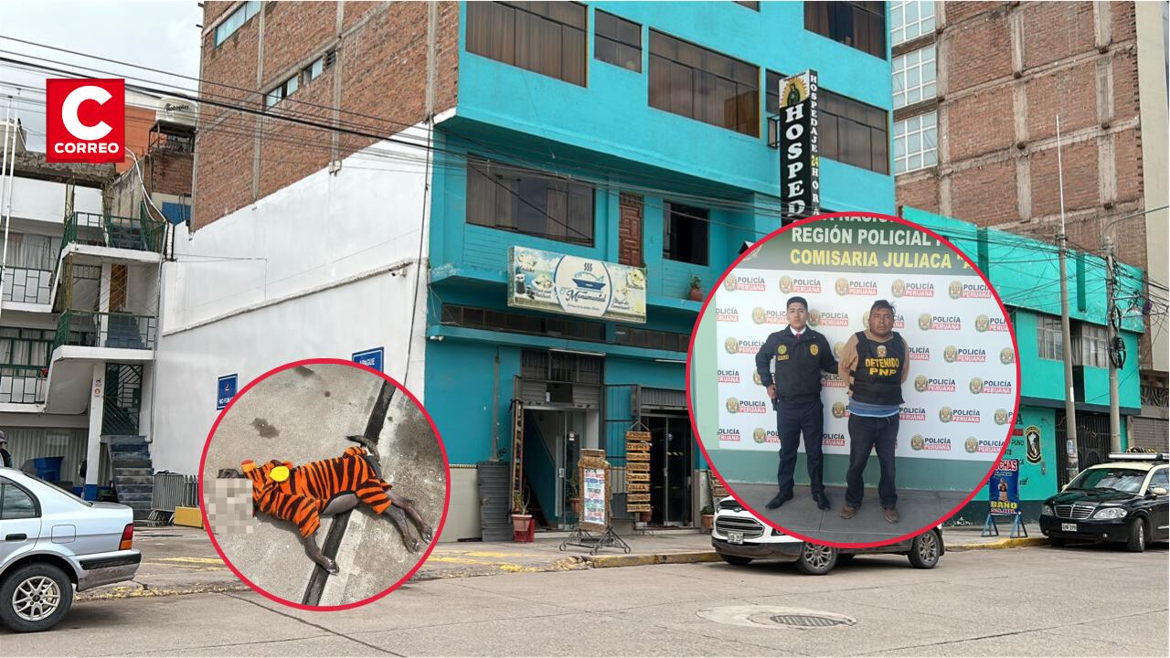 Los testigos señalaron que, antes del ataque, el presunto agresor habría sostenido una discusión con la dueña del perrito.