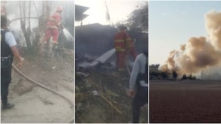 Ica: voraz incendio forestal en acequia causó alarma en el caserío San Martín