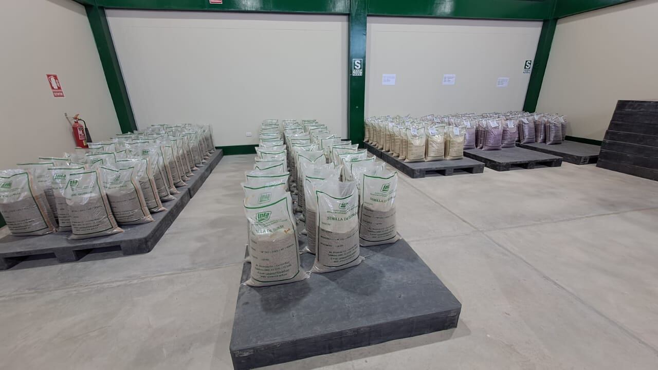 moderna planta de almacenamiento de semillas para Ayacucho