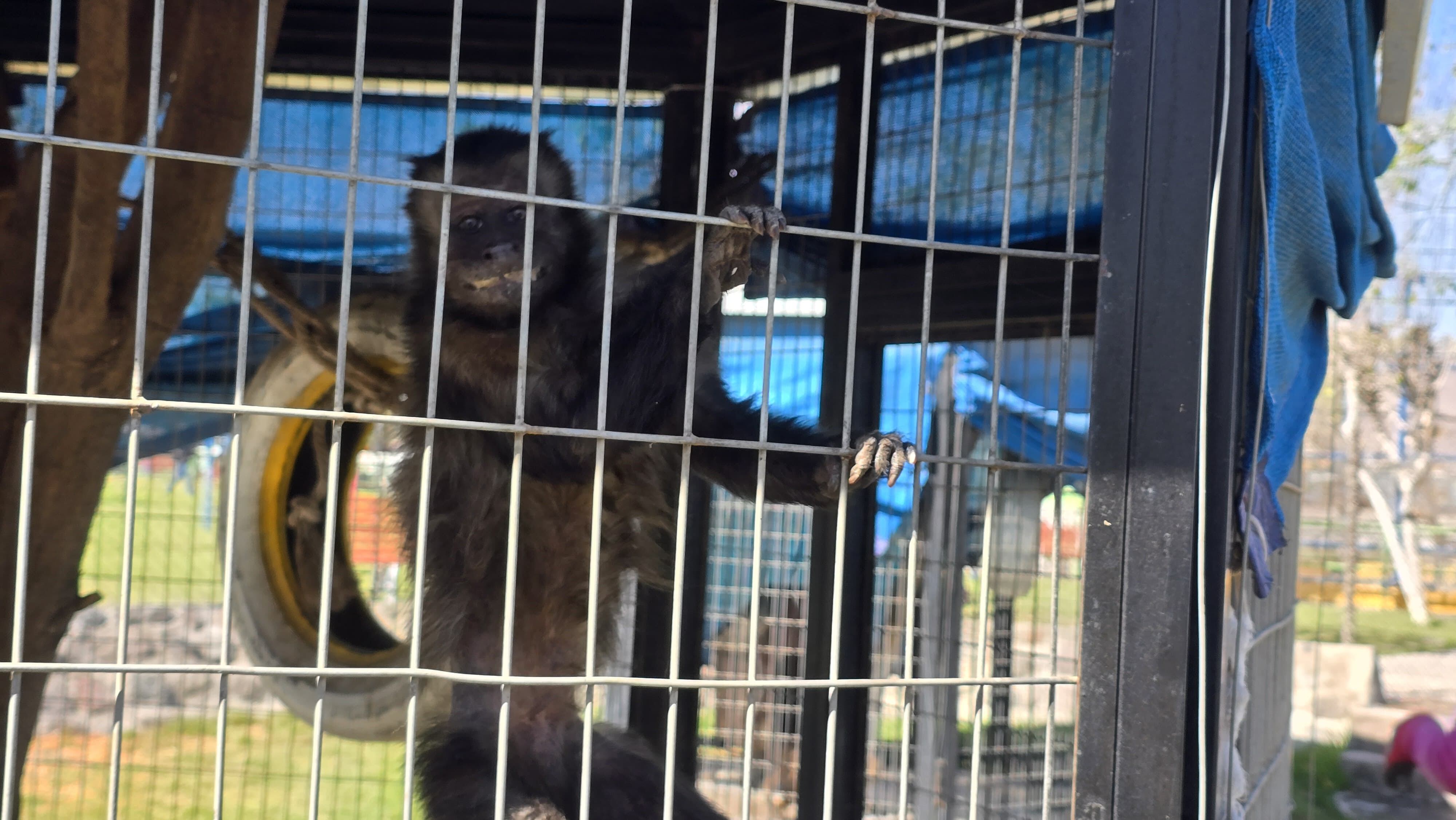 Parque ecológico El Bosque, en Socabaya. Foto: GEC.