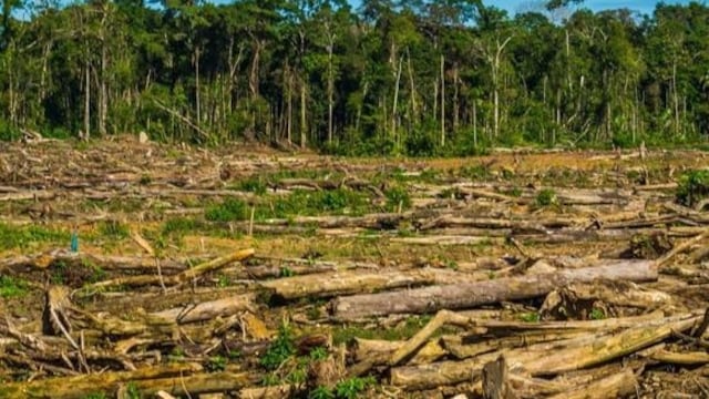 Congreso: alertan que se busca aprobar por insistencia norma que pondría en peligro Amazonía peruana