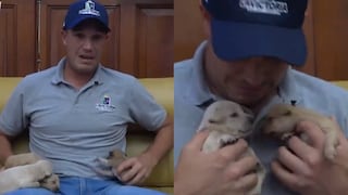 George Forsyth pide que adopten a tiernos cachorritos rescatados en La Victoria (VIDEO)