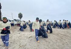 Exitosa jornada de limpieza en la playa Lobería de Pisco