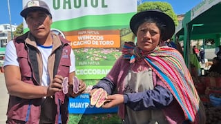 Productores de papa nativa pueden perder 2 millones de soles por falta de mercado
