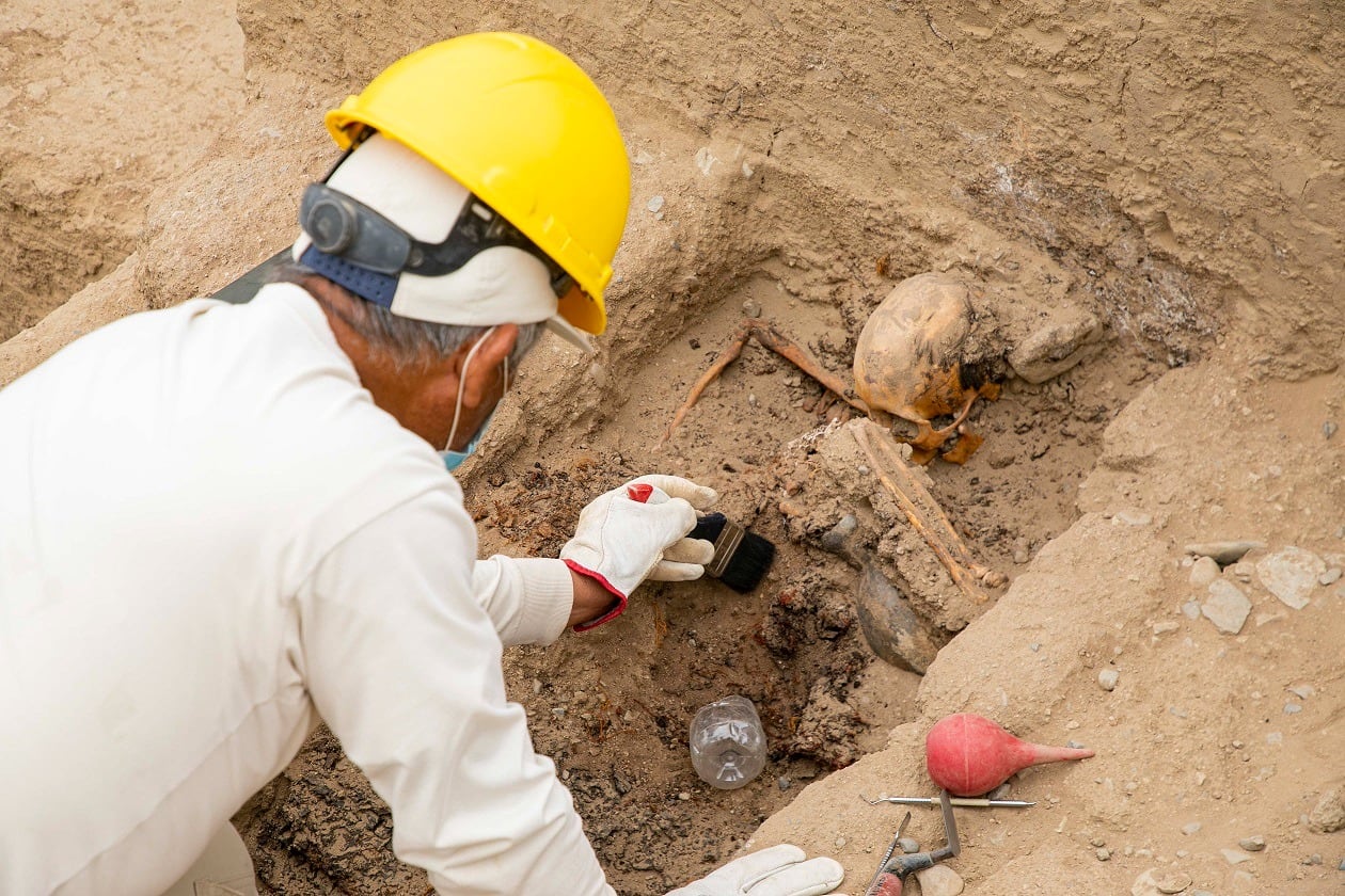 El histórico descubrimiento incluye restos óseos de la aristocracia de la costa norte así como finos ornamentos y bienes ceremoniales, entre ellos orejeras, collares y tocados de metal, cajas de madera tallada con apliques metálicos, además de innumerables collares en concha marina y cuarzo. También había armas.