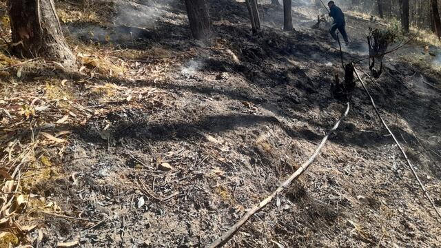 Registran dos incendios forestales en Huancavelica