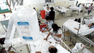 Lima en riesgo por la leptospirosis: animales caseros pueden portarla sin síntomas