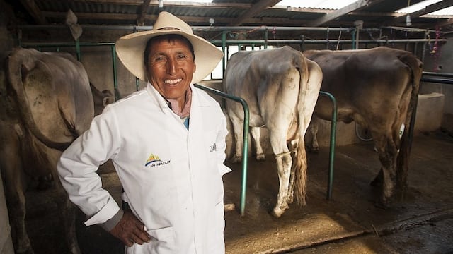 Productores ganaderos de Cusco alistan queso de 350 kilos
