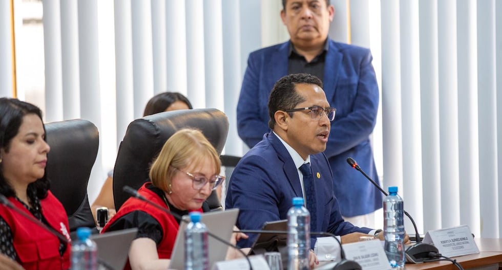 ELECCIONES 2024: 85 Pedidos de Nulidad en Análisis