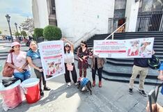 Arequipa: Inicia juicio oral por maltrato animal y sería el primer caso con sentencia