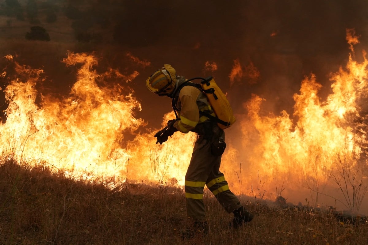 Bomberos luchan contra un incendio forestal en la zona de Cebreros, cerca de Ávila, a 80 km al oeste de Madrid, el 24 de julio de 2026. (Cesar MANSO / AFP)