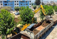 Arequipa: retiran toneladas de escombros en trenes