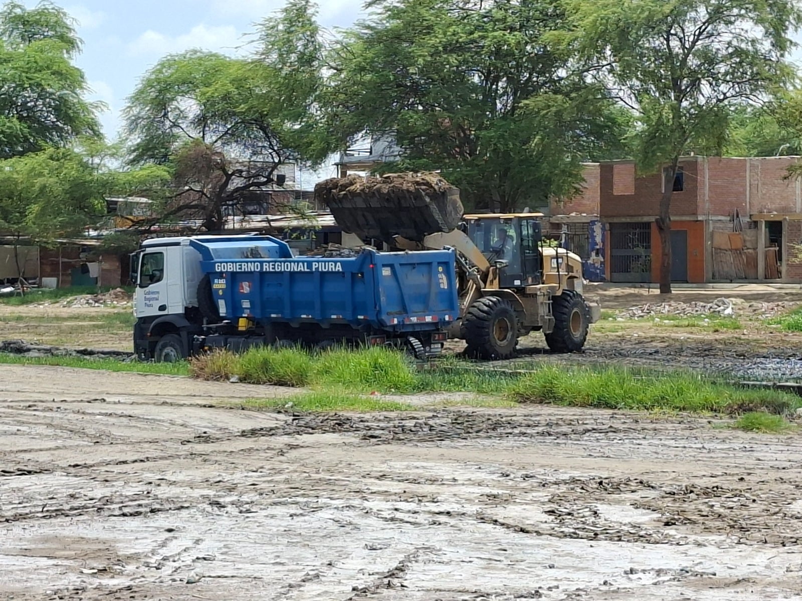 Humedales de Santa Julia.