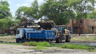 Piura: Retiran 24 toneladas de residuos en los humedales de Santa Julia