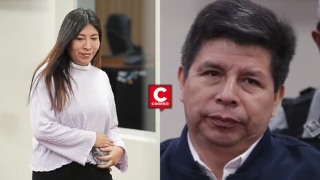 Subcomisión respalda inhabilitar por 10 años a Pedro Castillo, Betssy Chávez y Willy Huerta