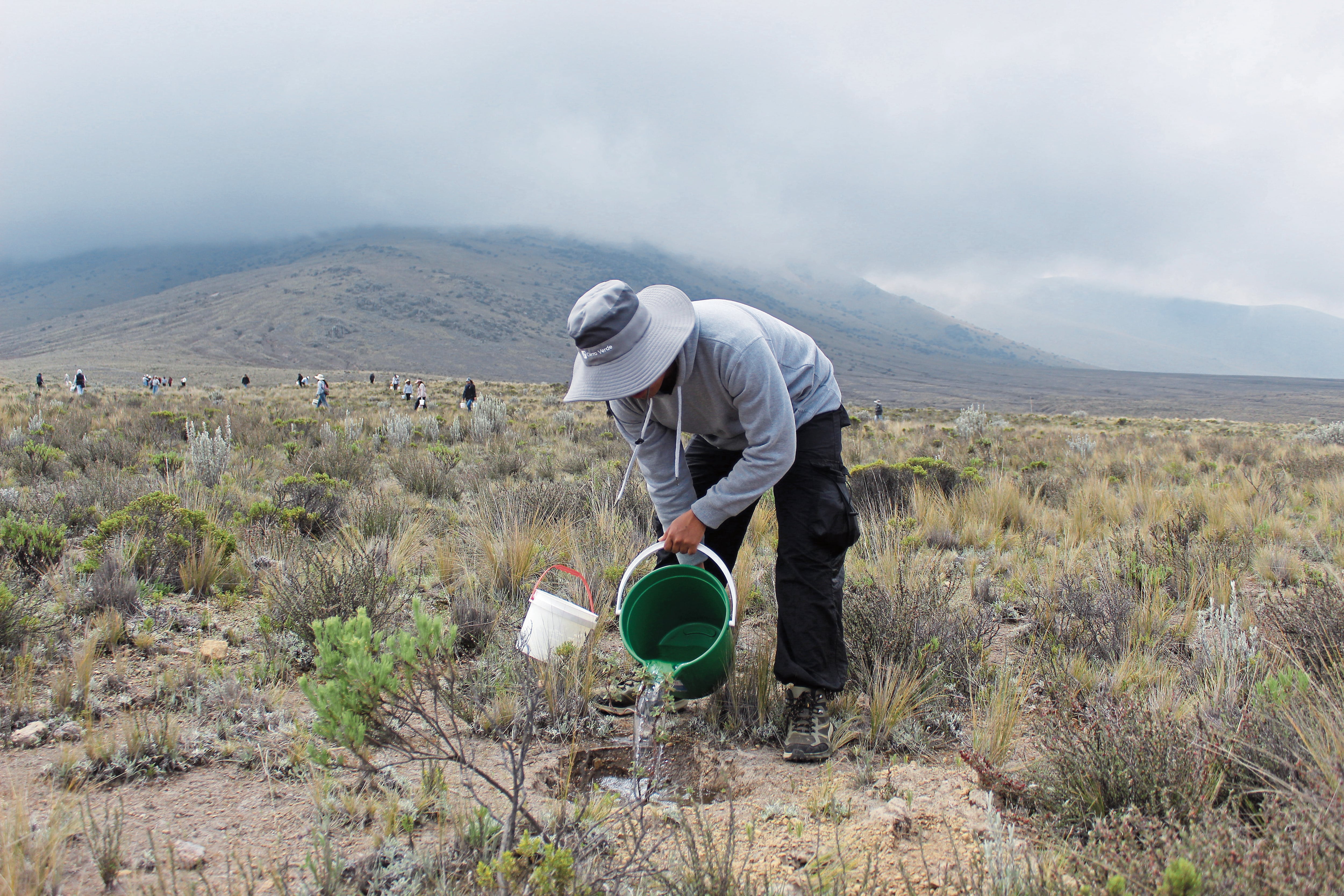 Voluntarios riegan plantas sembradas para reforestar Arequipa. Foto: GEC.