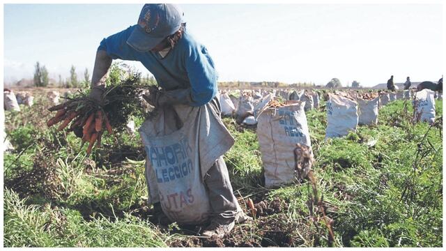 Agricultores se quedarían sin agua para sus cultivos en la región Piura
