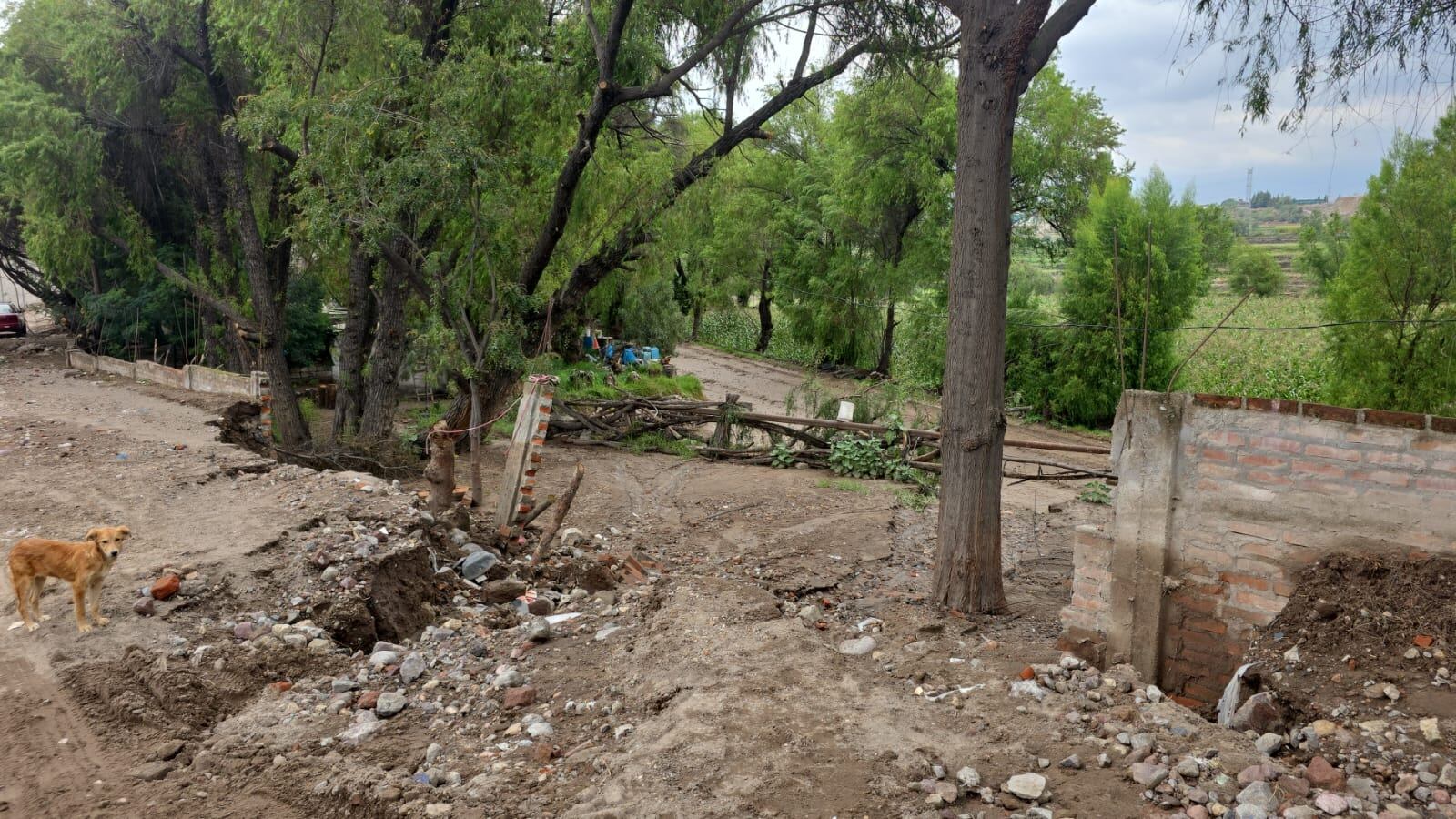 Lluvias inundan hectáreas de cultivo en Sabandía. (Foto: Omar Cruz/@photo.gec)