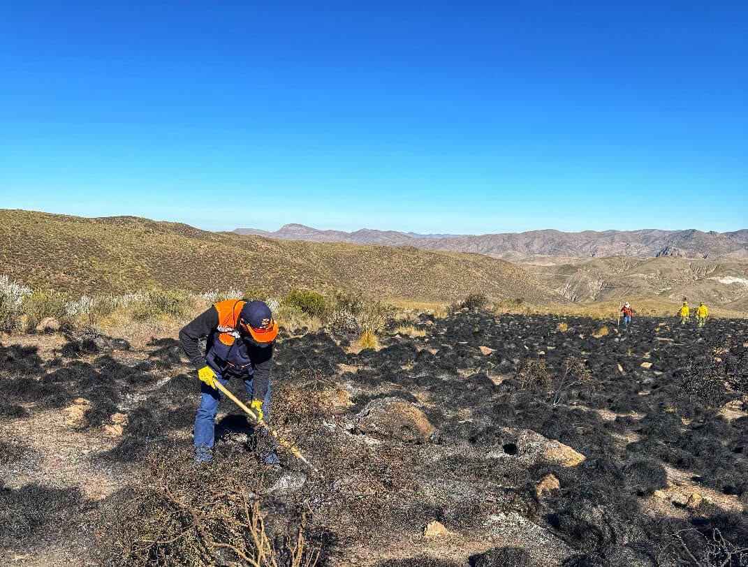 Liquidan incendio forestal que afectó la Reserva Nacional de Salinas y Aguada Blanca por 4 días (Foto: COER)
