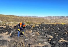 Liquidan incendio forestal en la Reserva Nacional de Salinas y Aguada Blanca por 4 días