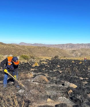 Liquidan incendio forestal que afectó la Reserva Nacional de Salinas y Aguada Blanca por 4 días (Foto: COER)