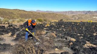Liquidan incendio forestal en la Reserva Nacional de Salinas y Aguada Blanca por 4 días