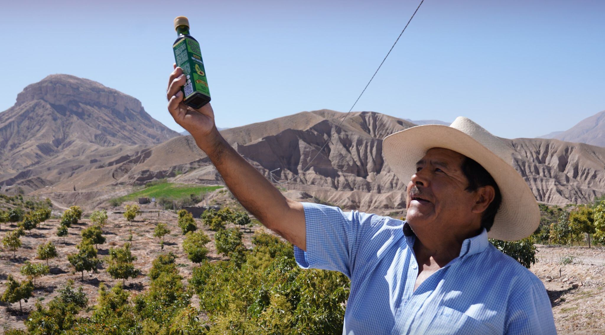 “Como padre y productor, me dolía ver cómo se perdía la fruta”, recuerda Villegas. (Foto: Difusión)
