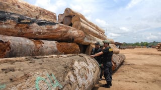 Huánuco: Área de Conservación Privada en Umari - Pachitea en riesgo por presunta tala ilegal