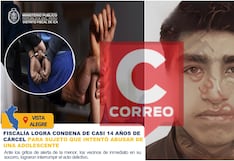 Nasca: cárcel contra sujeto que intentó violar a menor de 16 años que estaba sola en su casa