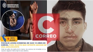 Nasca: cárcel contra sujeto que intentó violar a menor de 16 años que estaba sola en su casa