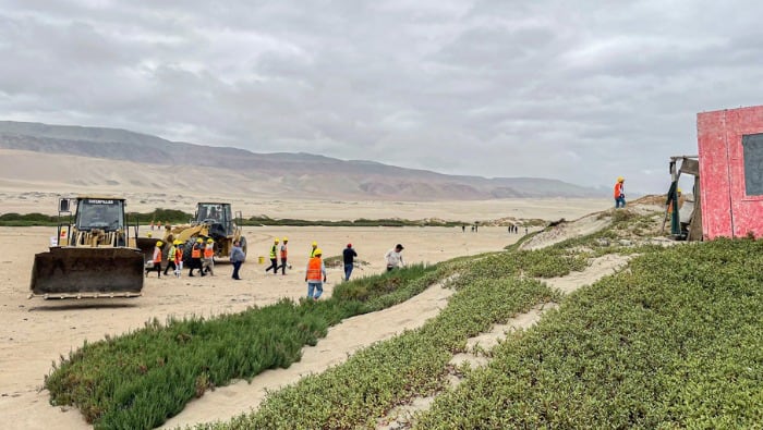 Ica: recuperan más de 48 mil metros cuadrados de terrenos estatales en playa Punta Lomitas