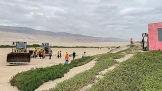 Ica: recuperan más de 48 mil metros cuadrados de terrenos estatales en playa Punta Lomitas