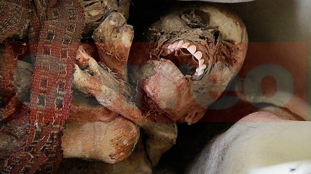 Trujillo: Hallan momia prehispánica a las afueras de Chan Chan