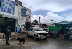 Jauría de perros desata temor en mercado de Sapallanga