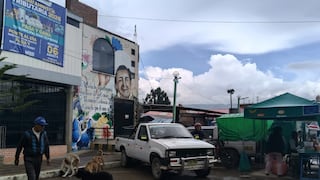 Jauría de perros desata temor en mercado de Sapallanga