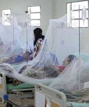 Casos de dengue en aumento