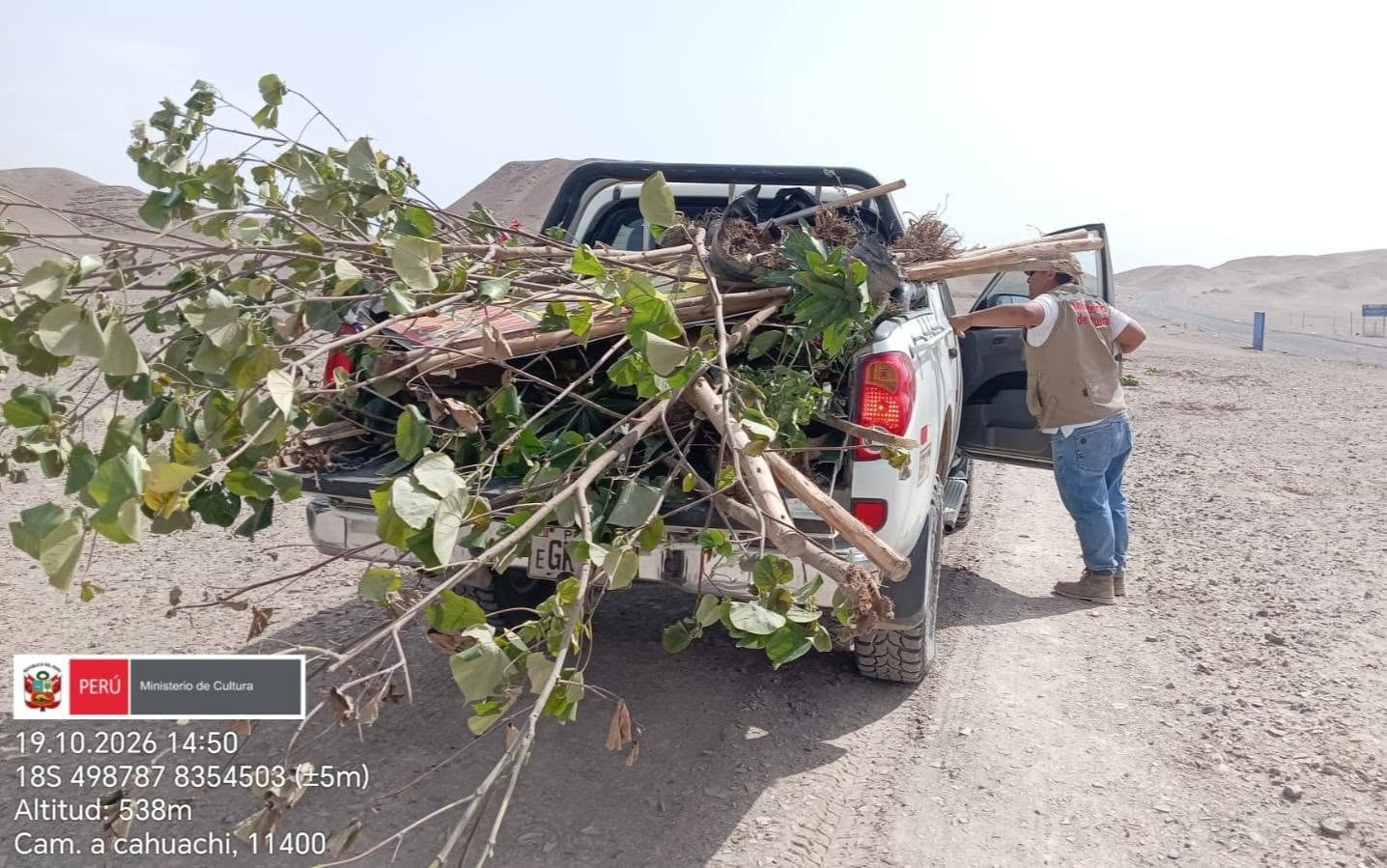 Nasca: retiran 50 plantaciones por presunta afectación al patrimonio cultural