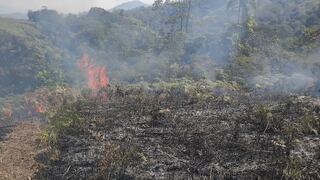 Quema irresponsable continúa generando fuertes incendios forestales en Cusco (VIDEO)
