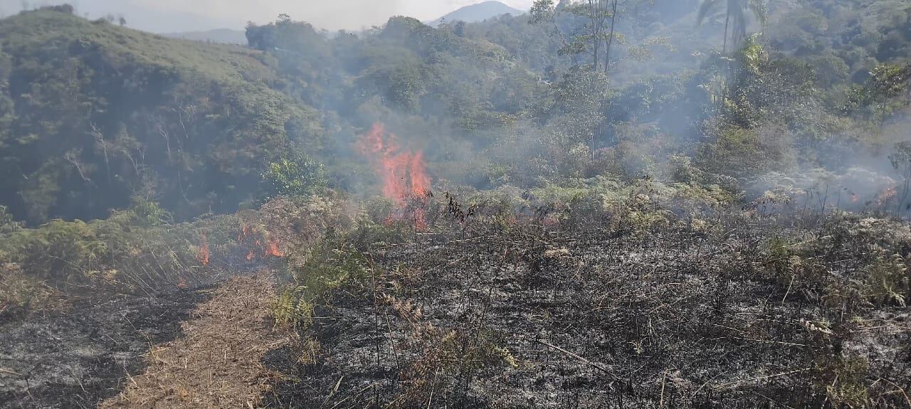 Pobladores de zonas rurales queman pastizales y el fuego generalmente se les sale de control ocasionando grandes siniestros