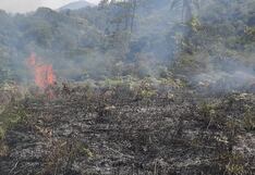 Quema irresponsable continúa generando fuertes incendios forestales en Cusco (VIDEO)